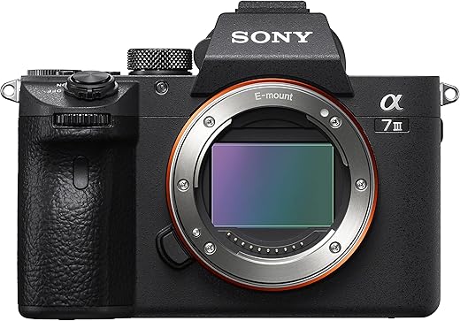 Le 6 Migliori Mirrorless Sony Del 2024