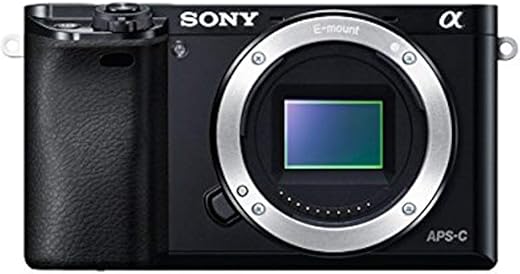 Sony Alpha 6000: La Fotocamera Mirrorless Perfetta per Fotografi Creativi