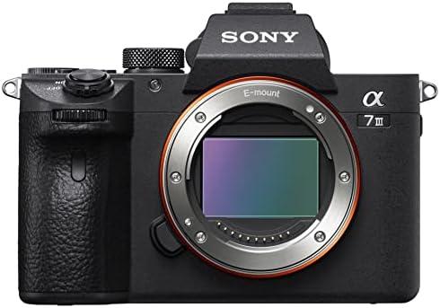 Recensione: Sony Alpha 7 III Fotocamera Mirrorless Full-Frame